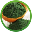 espirulina.png